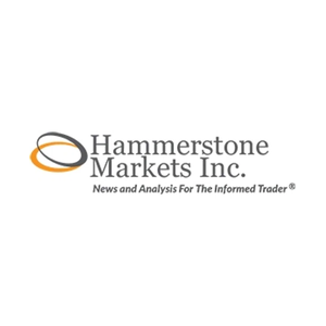 Hammerstone Markets brand logo for hammerstonemarkets.com