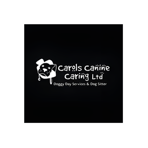 Hampshire Dog Sitters brand logo for hampshiredogsitters.co.uk