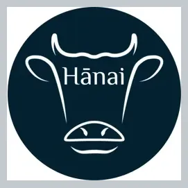 Hanaichi brand logo for hanaichips.com