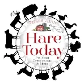 Hare Today brand logo for hare-today.com