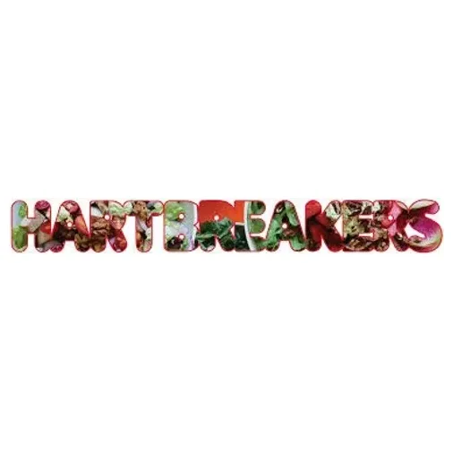 Hartbreakers brand logo for hartbreakersbk.com