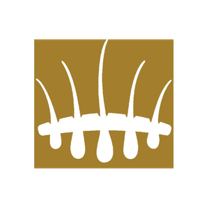 HASCI brand logo for hasci.co.uk