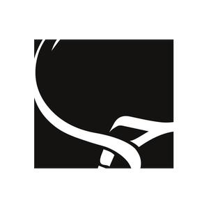 Hayaa brand logo for hayaahijab.com.au