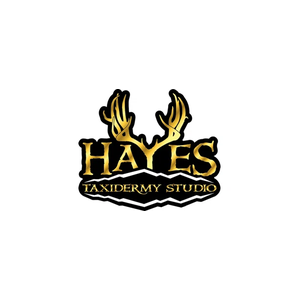 Hayes Taxidermy brand logo for hayestaxidermy.com