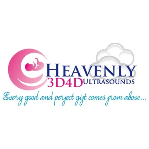 Heavenly 3D4D brand logo for heavenly3d4d.com