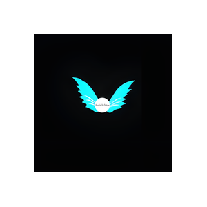 Heavenly Ritz brand logo for heavenlyritzboutique.com