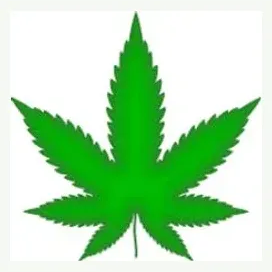 heavensflowercbd brand logo for heavensflowercbd.com
