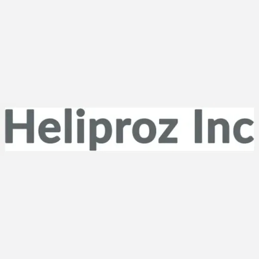 Heliproz brand logo for heliproz.com