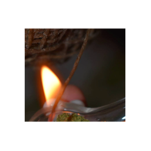 Hemp Wick brand logo for hempwickbeeline.com
