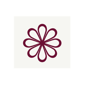 Henna & Hijabs brand logo for hennaandhijabs.com