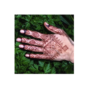 Henna Muse brand logo for hennamuse.com