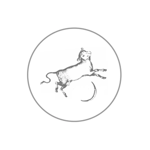 Hey Little Diddle brand logo for heylittlediddle.com