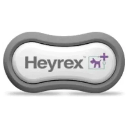 Hey Rex brand logo for heyrex.com