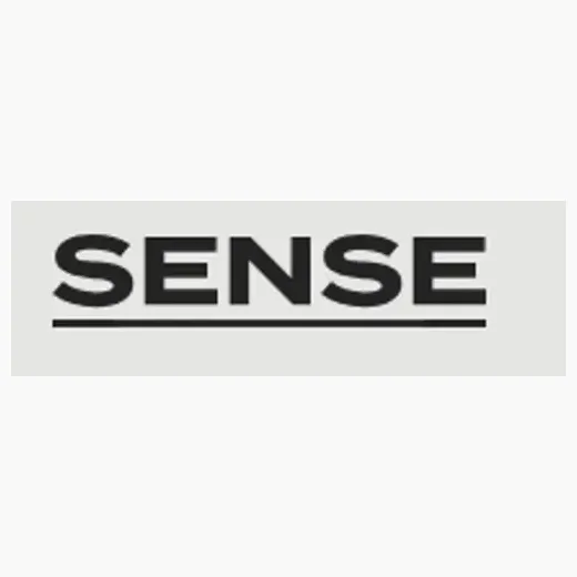 Hey Sense brand logo for hey-sense.com