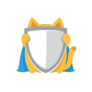 Hidemy brand logo for hidemy.ai