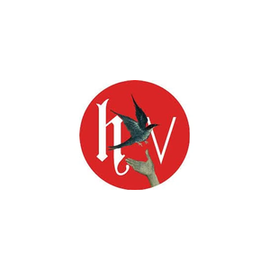 hieronyvision brand logo for hieronyvision.com