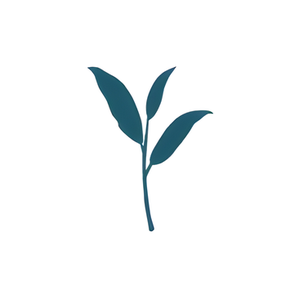 High Teas brand logo for highteas.co.uk