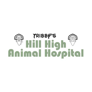 Hill High Animal Hospital brand logo for hillhighanimal.com