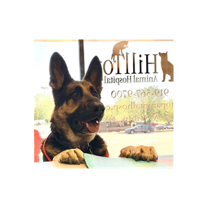 Hilltop Animal Hospital brand logo for hilltopanimalhosp.com