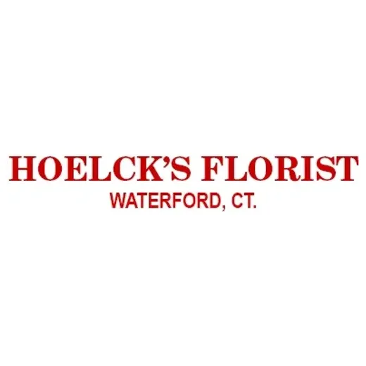 Hoelck's brand logo for hoelcks.com