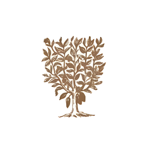 Holdsworth Chocolates brand logo for holdsworthchocolates.co.uk