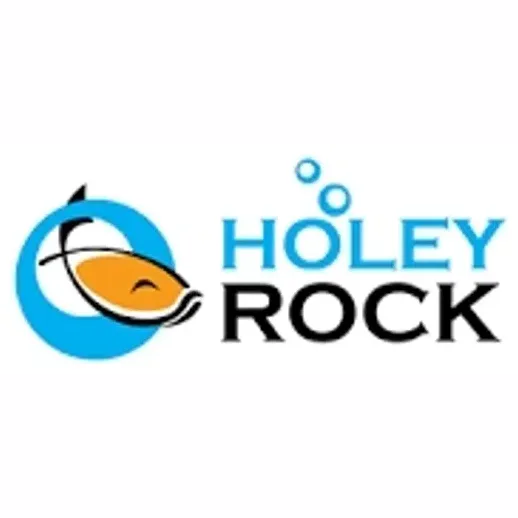 Holey Rock brand logo for holeyrock.com
