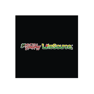 Holiday Lite Source brand logo for litesource.com
