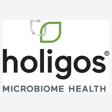 Holigos brand logo for holigos.com