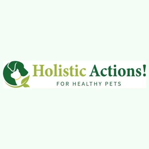 Holistic Actions brand logo for holisticactions.com