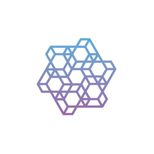 Holistic AI brand logo for holisticai.com
