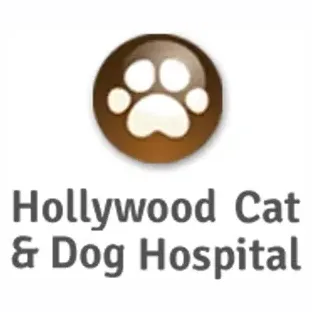 Hollywood Cat & Dog brand logo for hollywoodcatdog.com