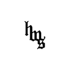 holsterwhensafe brand logo for holsterwhensafe.com