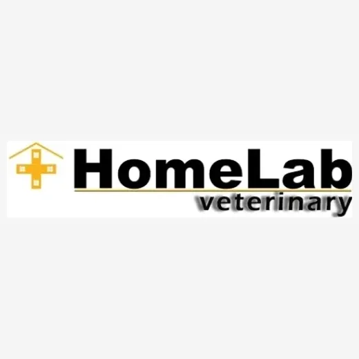 Home Lab Vet brand logo for homelabvet.com