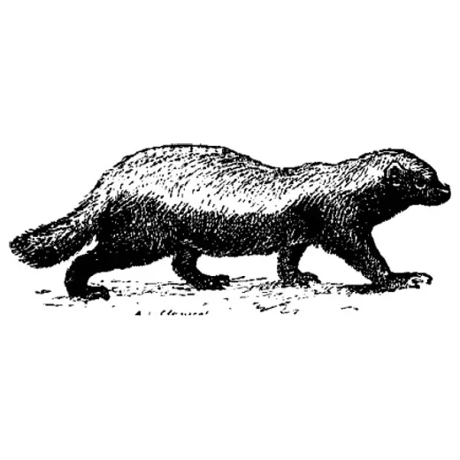Honey Badger of Money brand logo for honeybadgerofmoney.com