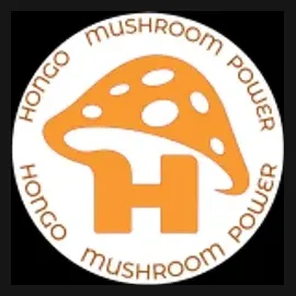 Hongo Mushroom Power brand logo for hongomushroompower.com