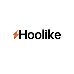 Hoolike brand logo for hoolike.com