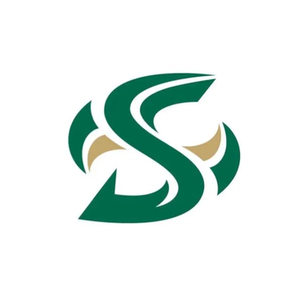 Hornet Sports brand logo for hornetsports.com