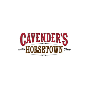 Horse Town brand logo for horsetown.com