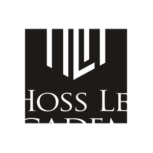 Hoss Lee Academy brand logo for hossleeacademy.com