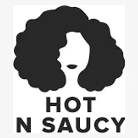 Hot N Saucy brand logo for hotnsaucynyc.com