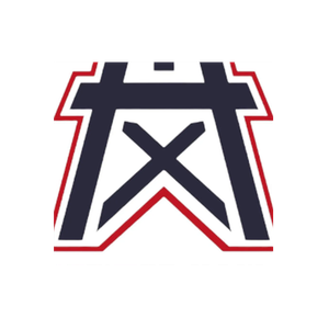 Houston Texas Grillz brand logo for houstontexasgrillz.com