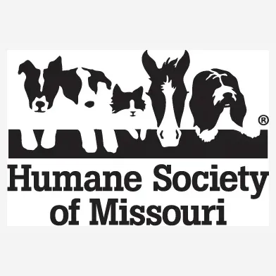 hsmo brand logo for hsmo.org