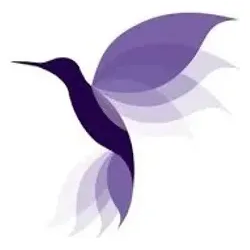 Hummingbird BSC brand logo for hummingbirdbsc.org