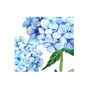 Hydrangea Lane brand logo for hydrangealanehome.com