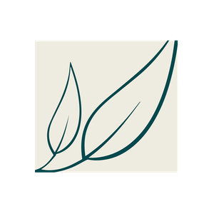 Hyper Wellbeing brand logo for hyperwellbeing.com.au