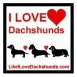 I Love Dachshunds Shop brand logo for ilovedachshundsshop.com