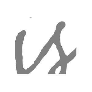 Ian Saude brand logo for iansaude.com