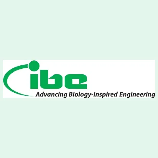 IBE brand logo for ibe.org