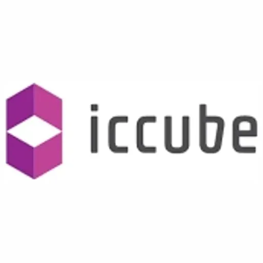 iCCube brand logo for iccube.com