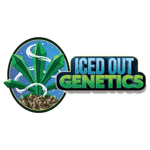 Iced Out Genetics brand logo for icedoutgenetics.com
